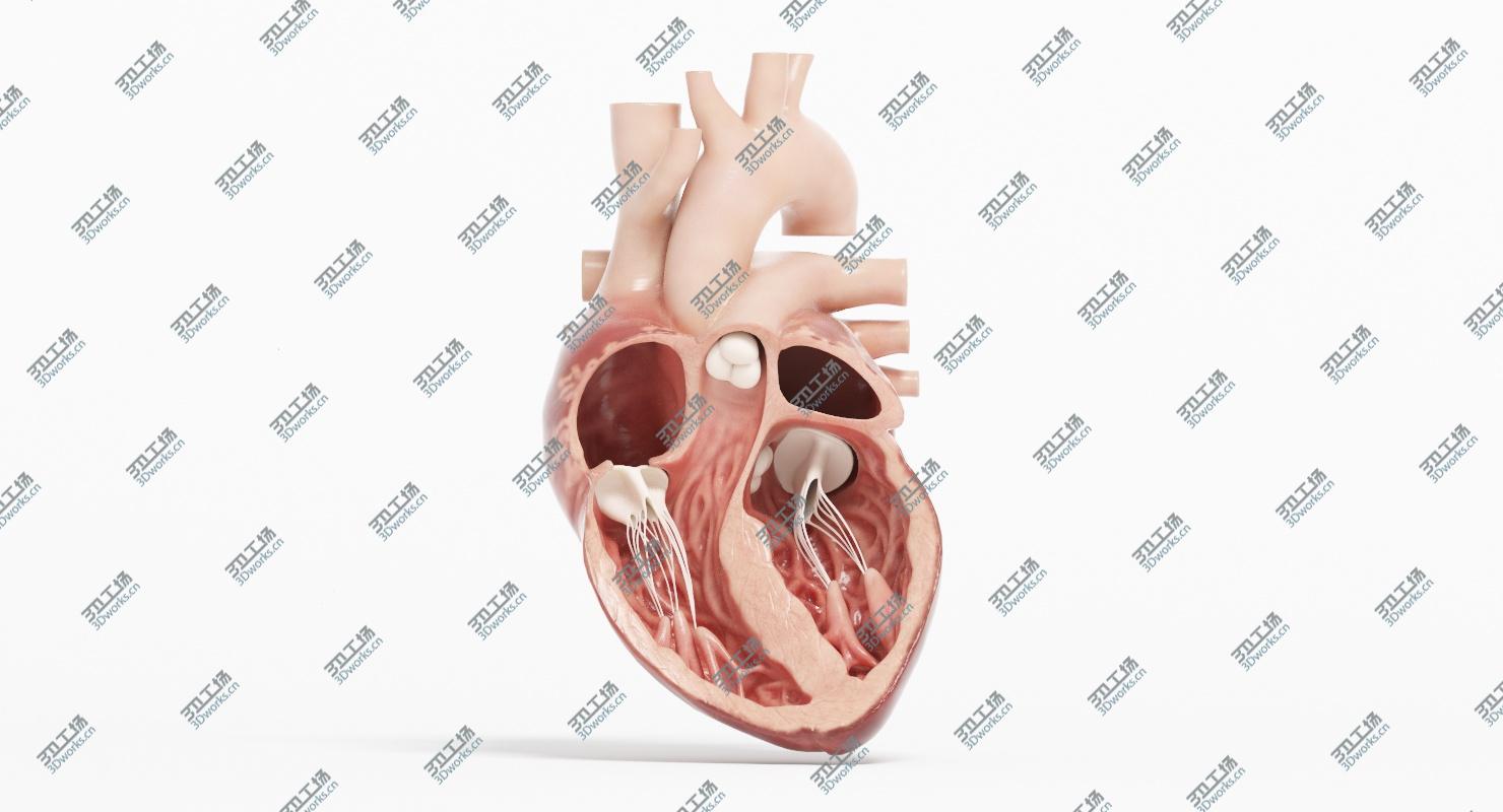 images/goods_img/20210113/3D Human Heart Animated (Pro Version)/4.jpg